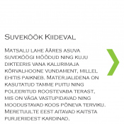 Suveköök Kiideval