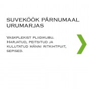 suvekook_parnumaal2_ruut